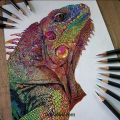 BRUSTRO Artist Metallic Colour Pencil Set of 12 Shades.