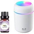 Humidifier Colorful Usb Portable Humidifier For Car, Home, Office, Electric Air Humidifier Aroma Oil Diffuser, Cool Mist Sprayer with Colorful Night Light, 300Ml. 