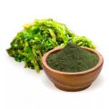 Organic Spirulina Alga Powder / Super Power Spirulina/ Superfood Spirulina from China. 