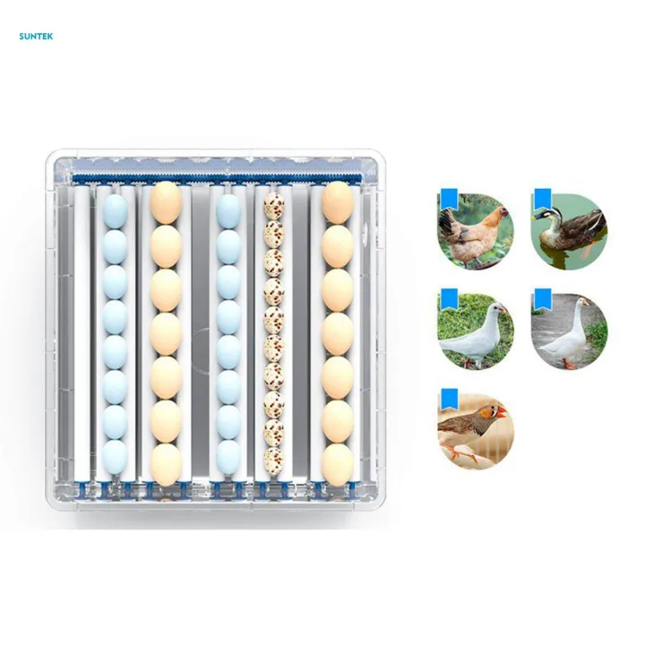 Egg%20Hatcher%20Egg%20Turner%20Tray%20for%20Goose%20Turkey%20Pigeon%209%20Egg%20-%20Image%207