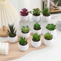 Mini Evergreen Artificial Succulent Fake Plants Plastic Succulents Bonsai Cactus Bonsai Plants Home. 