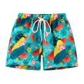 2-8 Years Children Beach Shorts Cartoon Print 2021 Boys Swimsuit Board Shorts Boys Bathing Suit Swimwear Summer Swimming Trunks. 