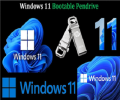 Windows 11 Bootable Pendrive Usb Flash Drive - Easily Install Windows 11 With This Bootable Pendrive. 