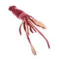 75cm Cute Red Squid Animal Doll Soft Cartoon Plush Toys For Boys and Girls Halloween Holiday Birthday Gifts. 