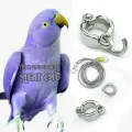 Indian Ringneck Parrot China Ring & Harness.