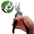 Professional 8 -inch garden scissors fruit trees trimming scissors - Great Value - Great to Have. 