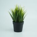 Artificial Plotted Plant - Home Decoration Item.