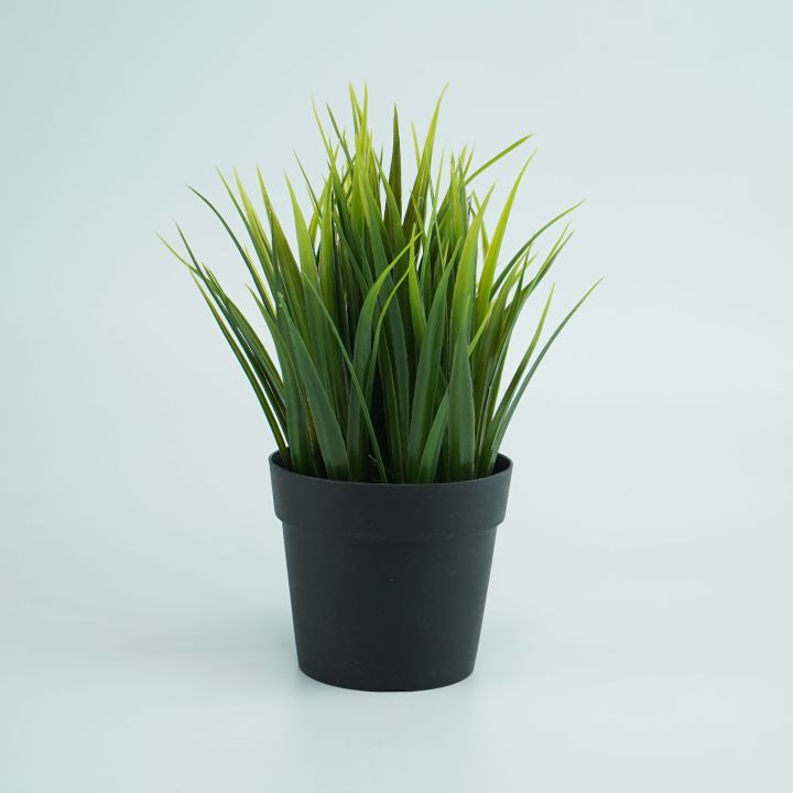 Artificial Plotted Plant - Home Decoration Item