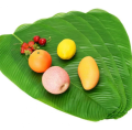 1/10PCS Green Tropical Artificial Banana Leaf Placemats Table Decoration Heat Resistant Drink Cup Coasters Faux Pad Dining Table Mats. 
