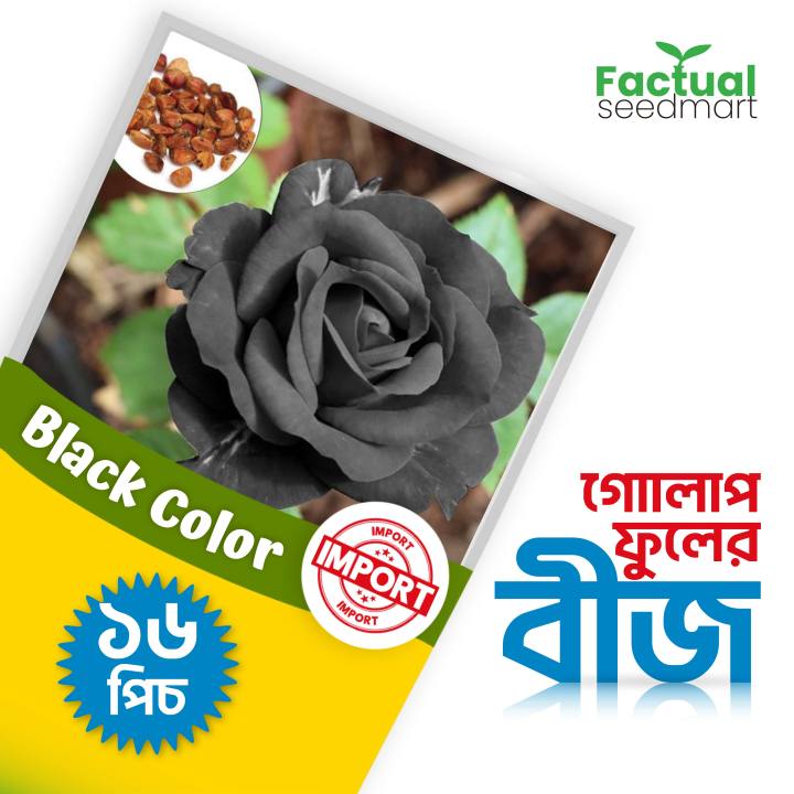 Black Rose Flowers seeds 16pics + Gift