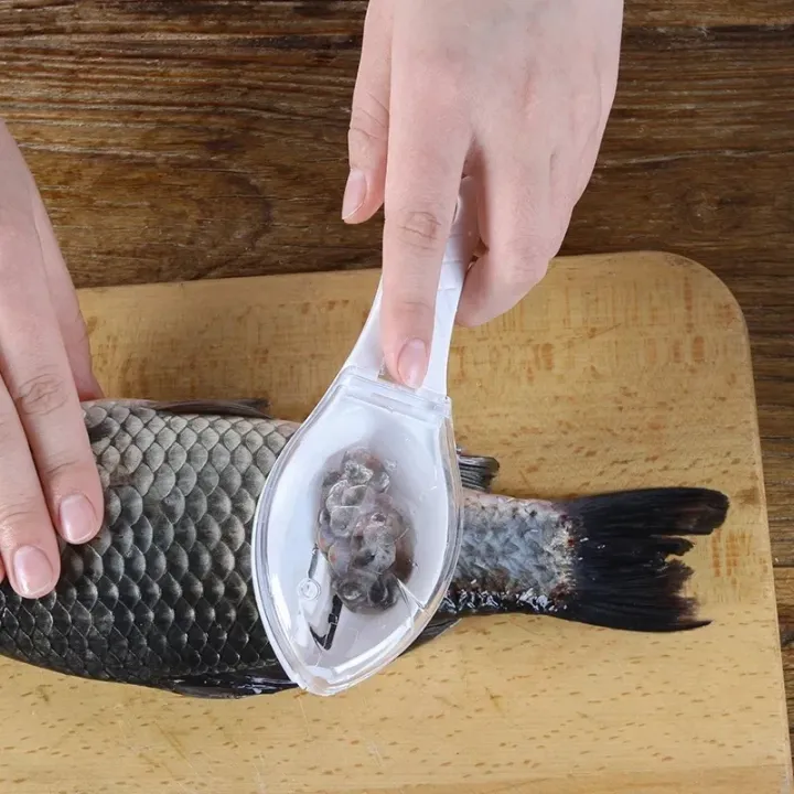 1%20pisFish%20Skin%20Brush%20Scraping%20Kitchen%20Fish%20Scale%20Cleaner%20Fast%20Remove%20Fish%20Knife%20Cleaning%20Peeler%20Scaler%20Scraper%20Kitchen%20Tool_Jess%20Gadget%20-%20Image%202