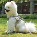 Soft Breathable Puppy Harness Reflective Vest ng Lead Leash for Puppy lyester Mesh Harness for Small Medium.
