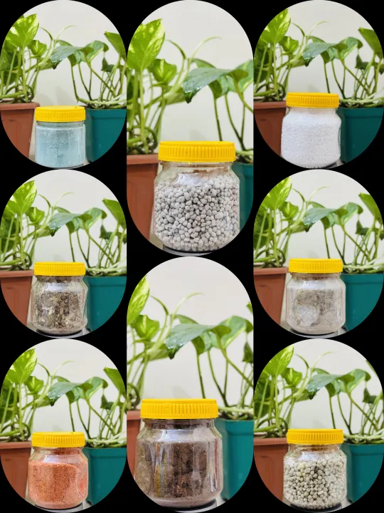 Fertilizer%20Combo%20Package.%208%20(%20Eight)%20Essential%20Fertilizer%20For%20Home%20Garden.%20Fresh%20and%20Premium%20caped%20jar.%20-%20Image%204