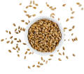 Roasted Sunflower Seeds/ Dried Fruits/ Dry Fruits/ Dry Food/ Dried Food/ Vaja Surjomukhi Bij- 1 kg. 