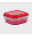 RFL Container Fresco Square 4 pcs Set Trans. 