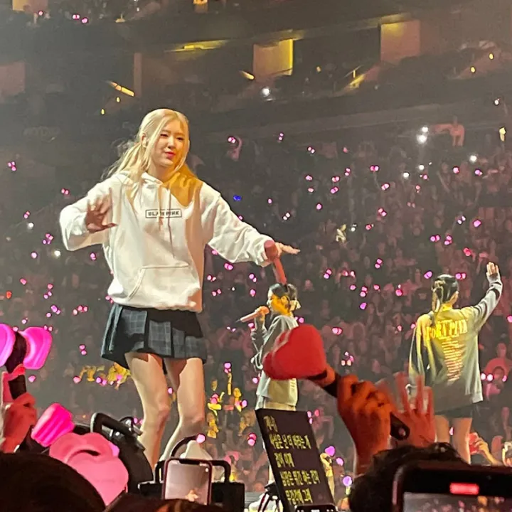 New%20K%20Pop%20Kpop%20BPINK%20WORLD%20TOUR%20BORN%20PINK%20Sweatshirts%20Pullovers%20Women%20Long%20Sleeve%20Streetwear%20Hoody%20Tops%20Oversized%20K-pop%20Clothes%20-%20Image%205