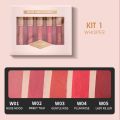 Imagic 5 Colours Lipstick Set Velvet Matt Liquid Lipstick Set 5Pcs.