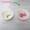 Magic Sakura Sake Cup Color Change with Cold/Hot Water-See Peach Cherry Flowers Bloom Magically Sakura Blossom Tea Bowl.