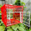 Birds Carrying Cage Only for Small Birds 1pc (Folding) Mix Color 8x6inch. 