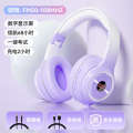 CET-4 and CET-6 Listening Bluetooth for College English Test Band 4, TEM-4, TEM-8 Dedicated FM Earphones. 