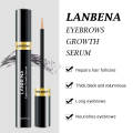 Lanbena Eyebrows Nourishing Serum - 4ml. 