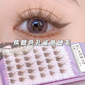 Eyelash Wish Caramel Guppy False Eyelashes Lazy Trilogy Eyelashes Wholesale Mixed Pack Segmented Fairy Hair. 