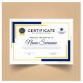 Ambush Paper Certificate paper Visiting Card Printing Paper (A4 Size Ambush Paper) 20 pice. 