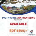 SOUTH KOREA VISA POCESSING ( ONLY FILE PROCESSING ). 
