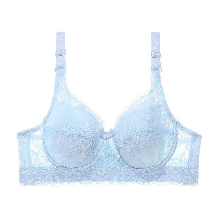 Women’s Net Lace Transparent Bra – Stylish, Sheer, No Pads, Comfortable ...
