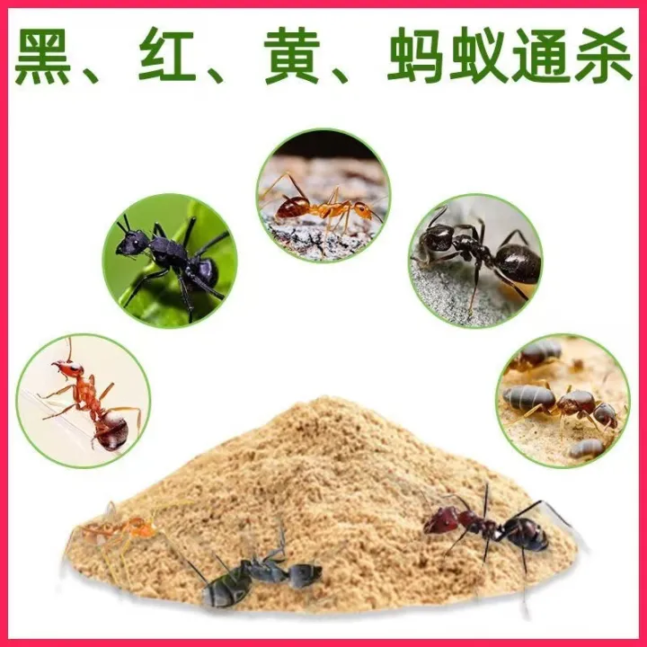 10%20Pcs%20Cockroach%20Killing%20Bait%20Powder%20Repellent%20Insecticide%20Cockroaches%20Killer%20-%20Image%204