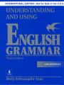 Understanding and Using English Grammar by Betty S Azar (3rd Edition). 