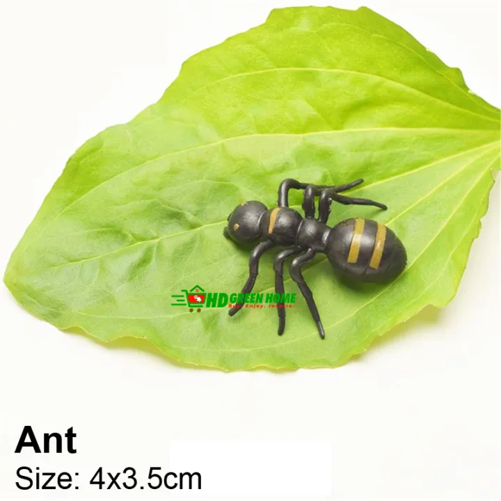 10%20pcs%20x%20Mixed%20Simulation%20Insect%20Toy%20Plastic%20Ant%20Centipede%20scorpion%20Fly%20Spider%20Prank%20Funny%20Toys%20-%20Image%204