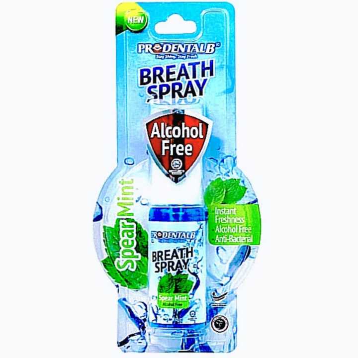 Instand Fresh Breath Mouth Spray Fresh Mint (20ml)