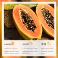 Bioaqua Papaya Moisturizing Face Wash -100G.