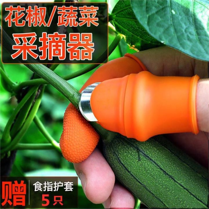 Silicone%20Vegetable%20And%20Fruits%20Thumb%20Cutter%20Finger%20cutter%205%20in%201%20kitchen%20utensils%20-%20Image%209