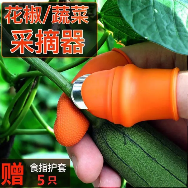 Silicone%20Vegetable%20And%20Fruits%20Thumb%20Cutter%20Finger%20cutter%205%20in%201%20kitchen%20utensils%20-%20Image%209