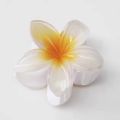 Egg flower claw for women's new high-end hair accessory headwear clip, large back spoon shark clip.