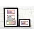 Different Banknote Frame Collection (Choose Your Frame from color family). 