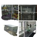 Pet cage bottom iron mesh sheet net quail net breeding pigeon net net household rabbit cage galvanized wire mesh parrot bird cage. 