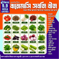 9.9 Mega Sale Assorted Vegetable Seed Combo Pack for Gardening and Homegrown Herbs.
