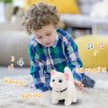 New Walking Kitty Plush Toy Electric Interactive Cat Stuffed Animal Meowing Tail Wagging Head Nodding Cat Pet Toy For Kids Gift. 