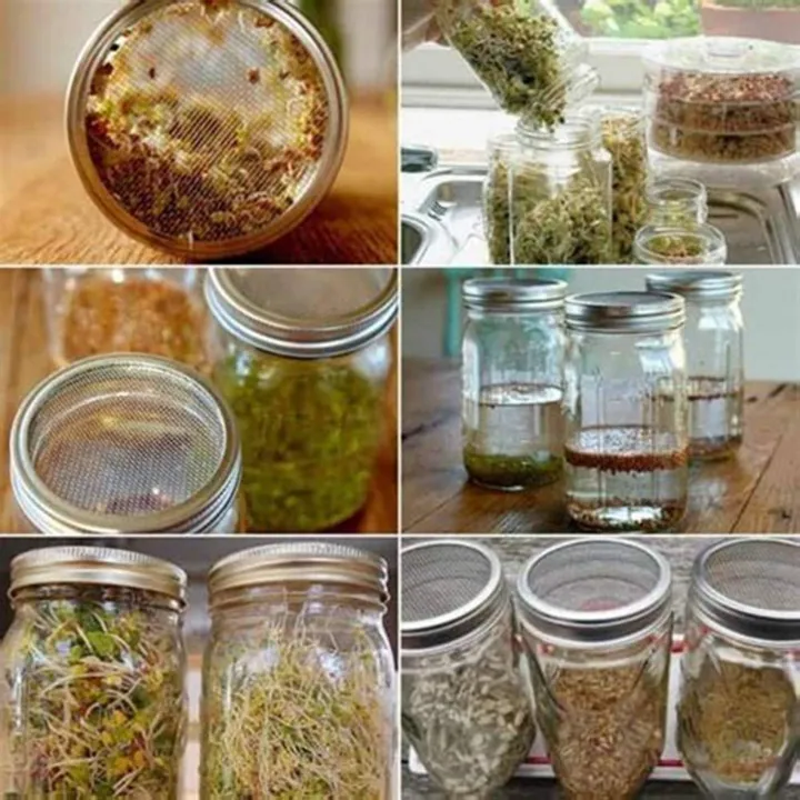9x%20Stainless%20Steel%20Sprouting%20Jar%20Lid%20Kit%20for%20Superb%20Ventilation%20Fit%20for%20Wide%20Mouth%20Mason%20Jars%20Canning%20Jars%20-%20Image%204