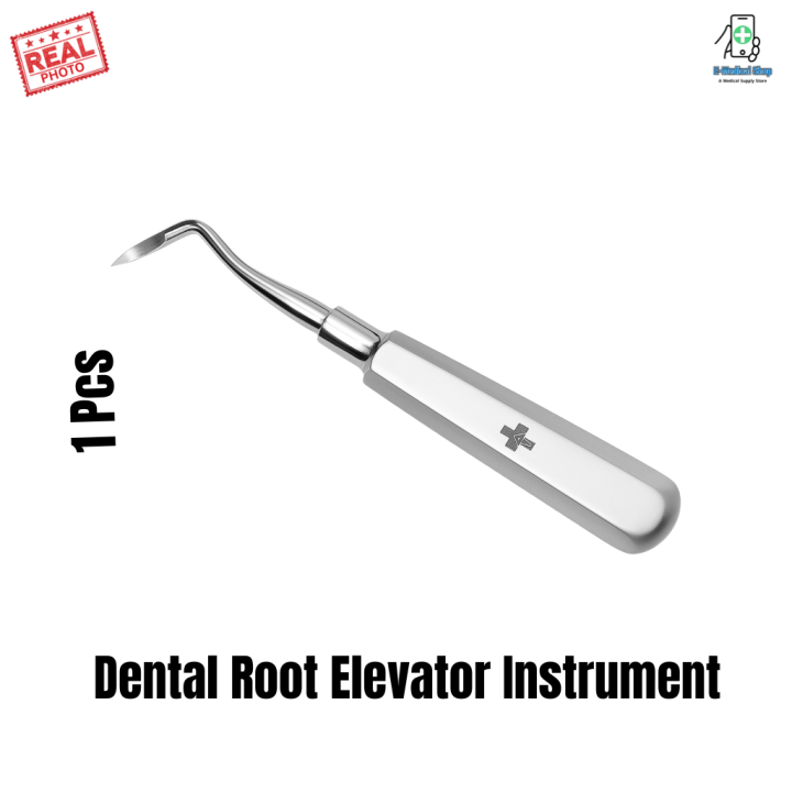 Root Exraction Instrument 1 Pcs Dental Root Elevator – Stainless Steel Tooth Extraction ...