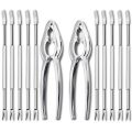Sea Tool Kit,Stainless Steel Crab Leg Cracker and Forks Nut Cracker Shellfish Sheller 12Pcs. 