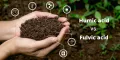 Humic Acid For Plant - 25/50/100/200 gm Pack - হিউমিক এসিড গাছে ব্যাবহারের জন্য.