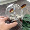 Transparent Pig Piggy Bank Novelty Tabletop Glass Pig Piggy Bank. 