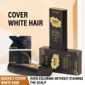 Hair Color Stick for White Hair Coverage | Hairdressing Stick | Waterproof and Sweat-Proof Hair Dye Comb for Temporary Hair Color 20gm. 