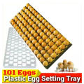 Egg Incubator Setter Tray 101 Egg For Chicken, Duck, Goose. 