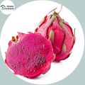 20 Pcs All Season Dragon Pitaya Fruit Seeds - 20 Pcs Seeds. 