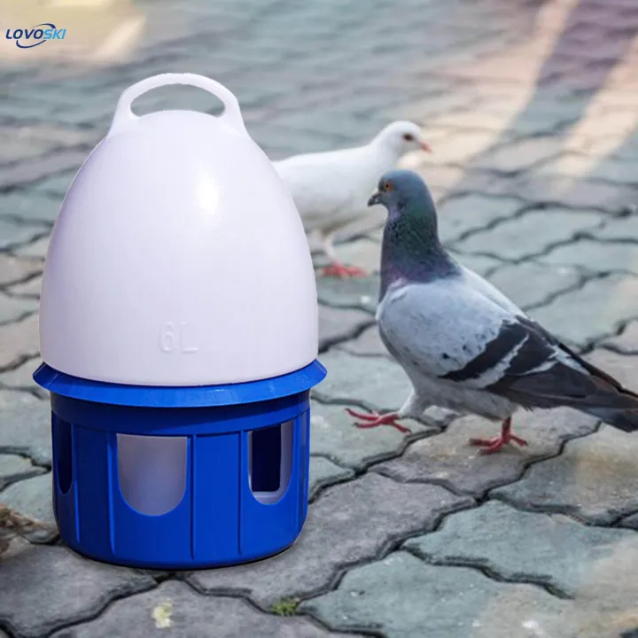 Pigeon%20Waterer%20Drinker%20Water%20Bottle%20Automatic%20Bird%20Water%20Dispenser%20for%20Quail%206L%20D%2019cm%20H%2035CM%20-%20Image%205